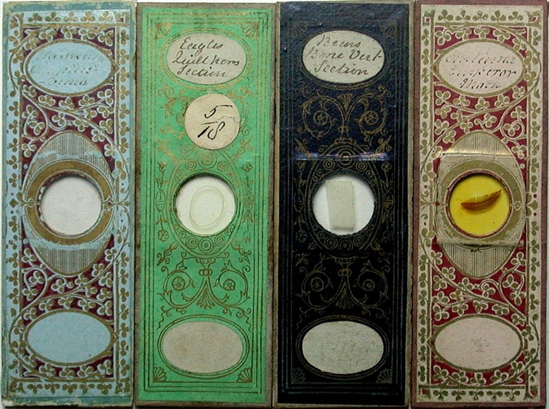 Illustration for article titled Even Victorian microscope slides were beautifully ornate